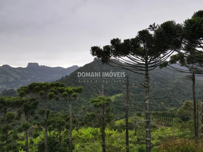 Área de Terreno com vista para Pedra do Baú na Região do Alpes - Campos do Jordão/SP