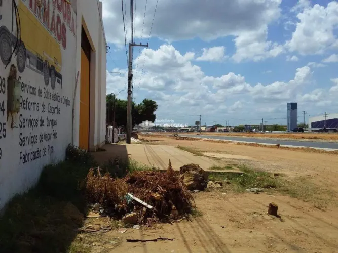 AV.PROFESSOR WALL FERRAZ - BAIRRO:SANTA CLARA