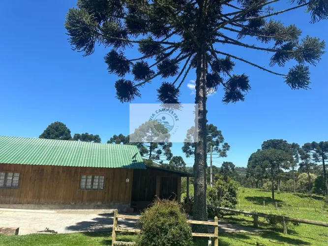 Restaurante todo montado, porteira fechada, 500 m2 construidos, terreno de 4.000 m2, aceit