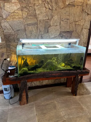 Aquário