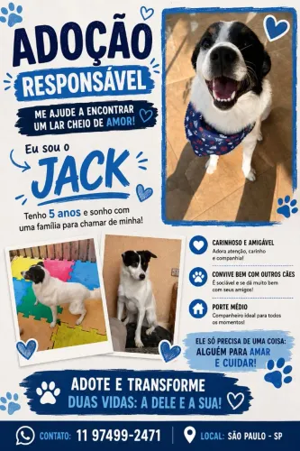 Doação de uma cachorrinho