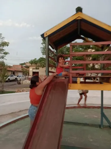 Faxina e serviços doméstico  e cuidadora de idoso