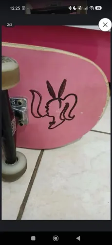 Skate usado