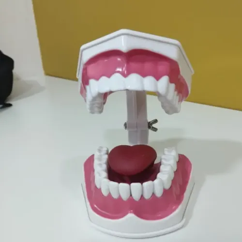 Dentadura Decorativa  - Ideal para Clínica Odontológica!