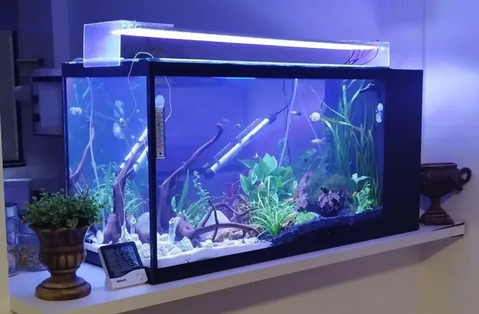 Aquário plantado completo 200L