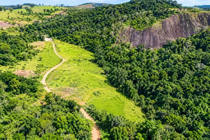 Vendo terreno em área verde!