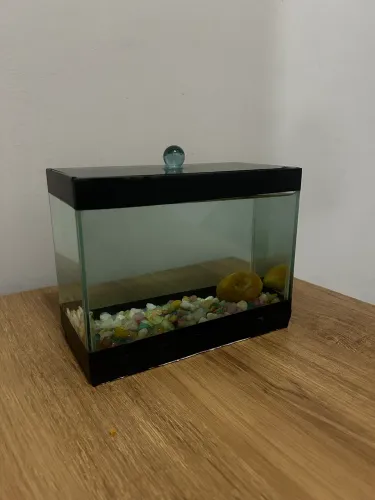 Aquário Pequeno 2L Beteira Terrário 