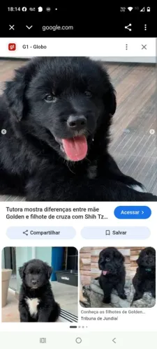 Vende se