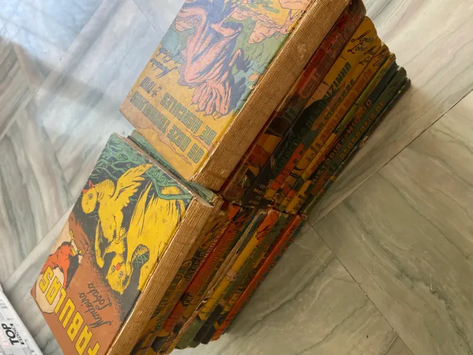 Coleção de 21 livros de Monteiro Lobato