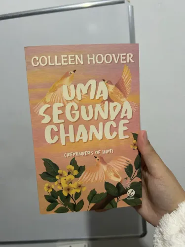 livro: uma segunda chance autora: colleen hoover