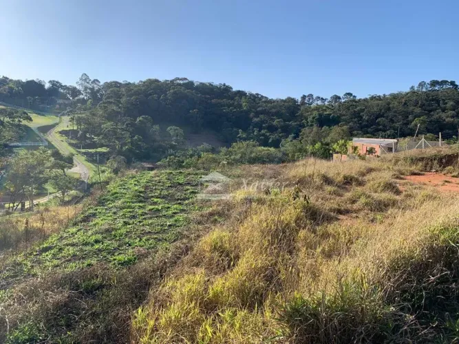 Terreno à venda, 1049 m² por R$ 130.000,00 - Taipas de Pedra - São Roque/SP