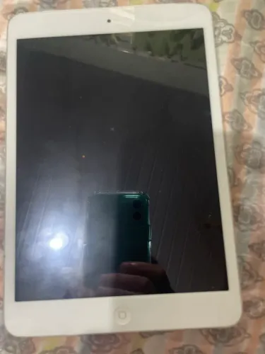 iPad mini