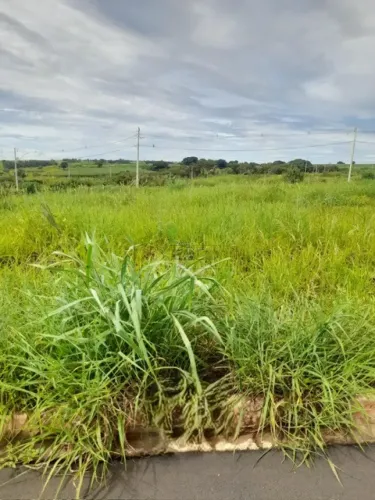 Terreno de 200m² à venda - Belvedere Laranjeiras