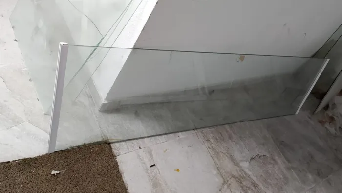 Vitro porta
