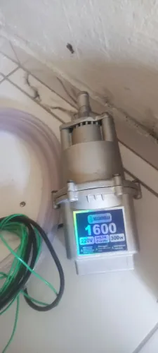 Bomba d'água sapinho 
