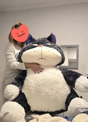 Pelúcias gigante gato do filme Cinderela