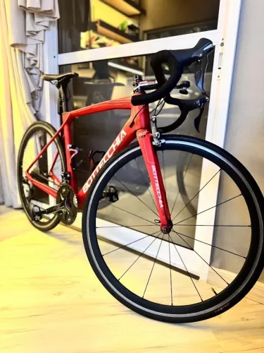 Bike Speed Bottecchia - Carbono / Ultegra 11v / 7,8Kg