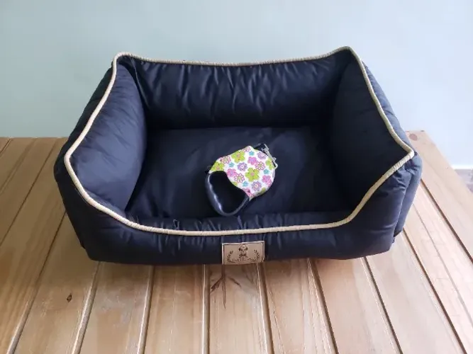Cama Barcelona da Bichinho Chic *NOVA* e guia retrátil *SemiNOVA*