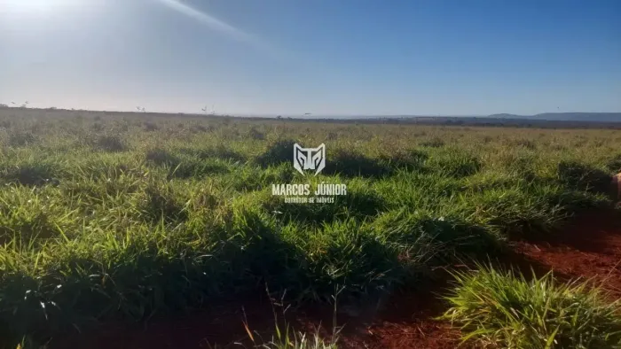 FAZENDA DE PECUARIA NO NORTE DE MINAS EM SÃO JOÃO DA PONTE ESTRUTURADA