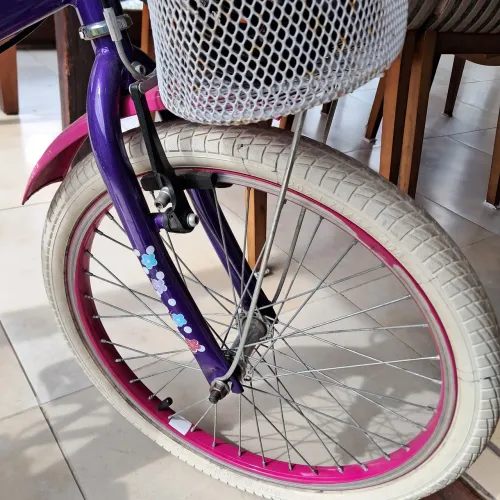 Bicicleta infantil "my bike"