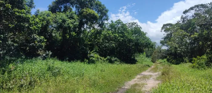 Terreno em Praia para Venda em Itapoá, bamerindus