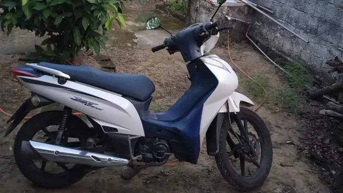 Moto Shirley 2025