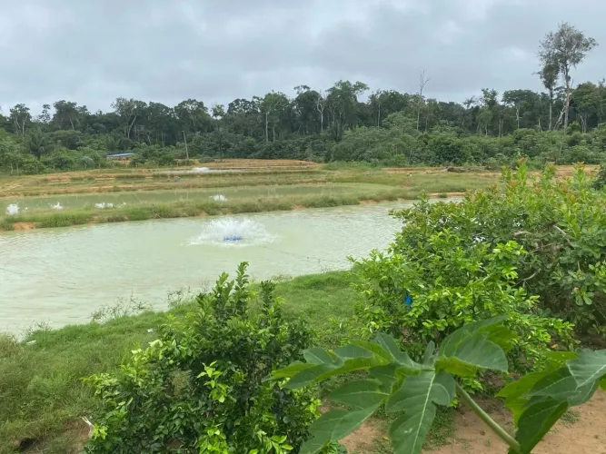 Vendo sitio pra piscicultura