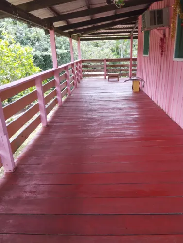 Vendo este lindo sítio na estrada do Novo Airao