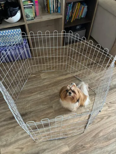 Cercadinho para cães em epóxi branco