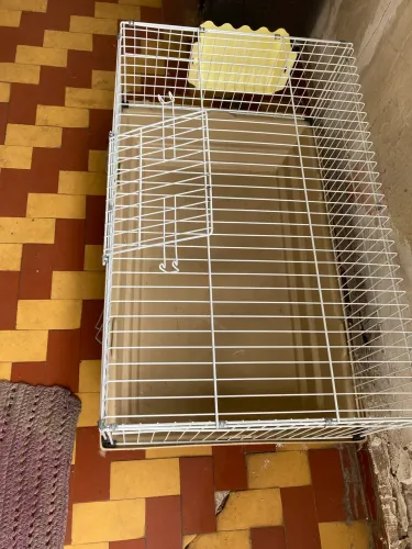 Gaiola para coelho