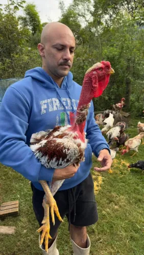 polaco gigante