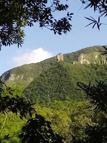 VENDO SÍTIO CIRENÁICA TREVISO SC