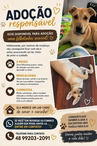 Doação responsável 