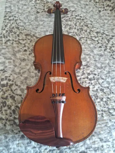 Violino 4x4