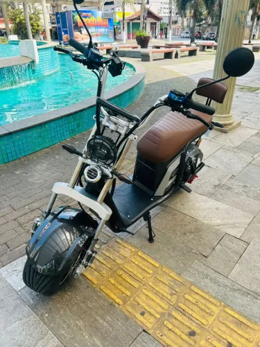 Vendo Scooter Elétrica Panda R13 2026 de 1000W