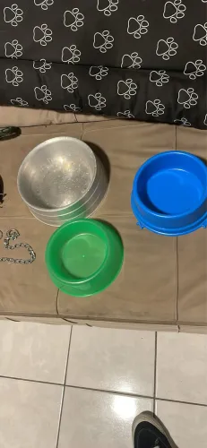 Kit pra cachorro 