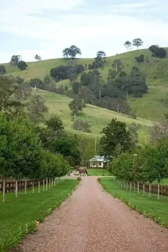 Oportunidade de chácara em Ibiúna: loteamento exclusivo para você.