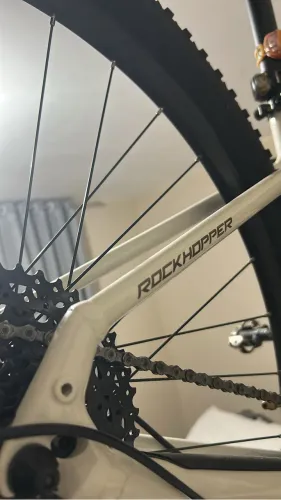 Specialized Rockhopper Aro 29