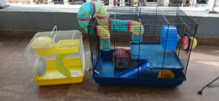 Gaiola para hamster 