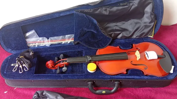 Violino
