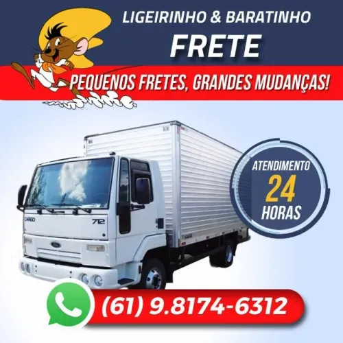 MUDANÇA PROFISSIONAL BARATA