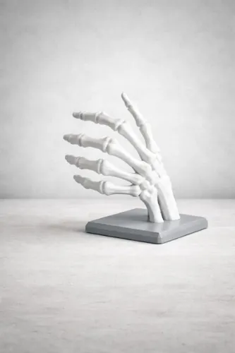 Suporte de Livros Mão Esquelética Decorativa - Impressão 3D
