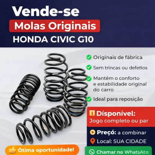 Molas original Civic g10