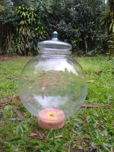 Lindo frasco vidro 10l terrario