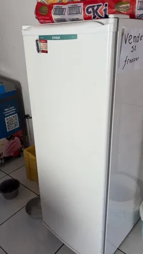 Freezer vertical