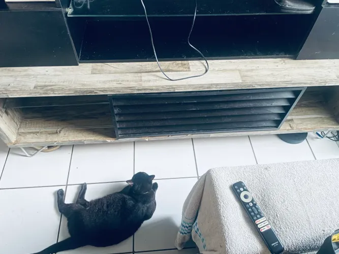 Rack para tv 