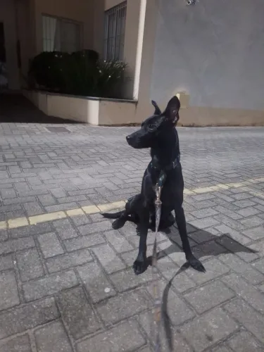 DOAÇÃO