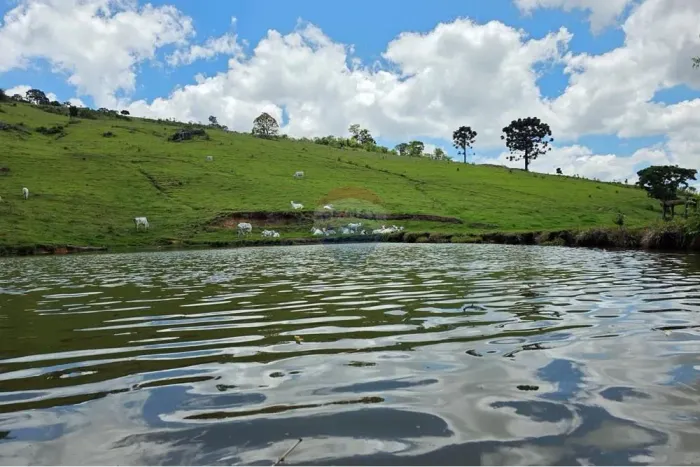 Sítio à venda de porteira fechada em Pedra Bela-SP