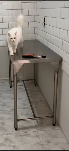 Mesa de inox