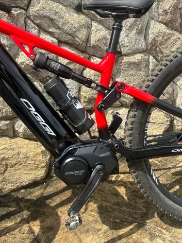 Ebike Oggi T110